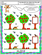 Ağaşlardaki elmaların toplamı kaç eder